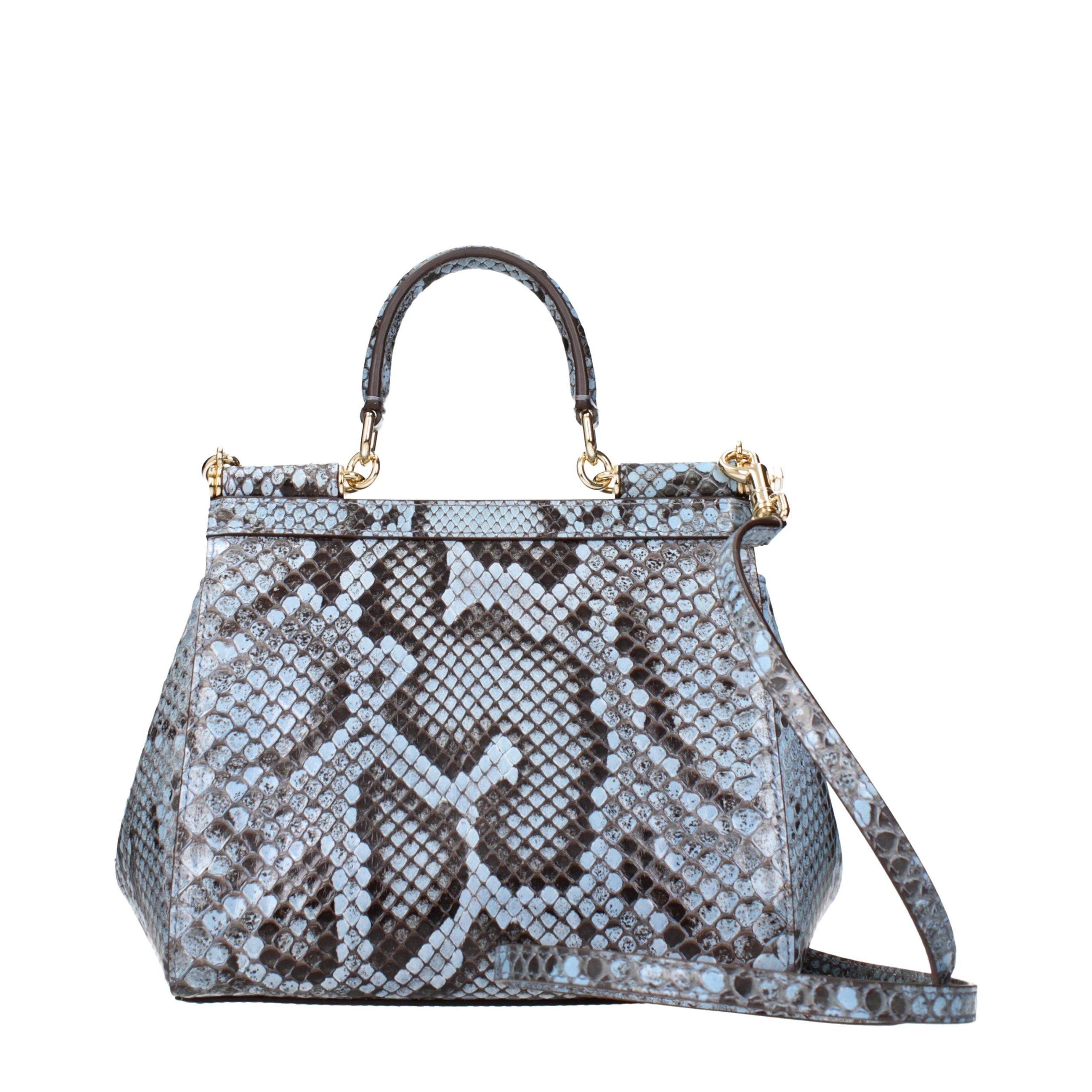 Light Blue Skin Handbag Bag