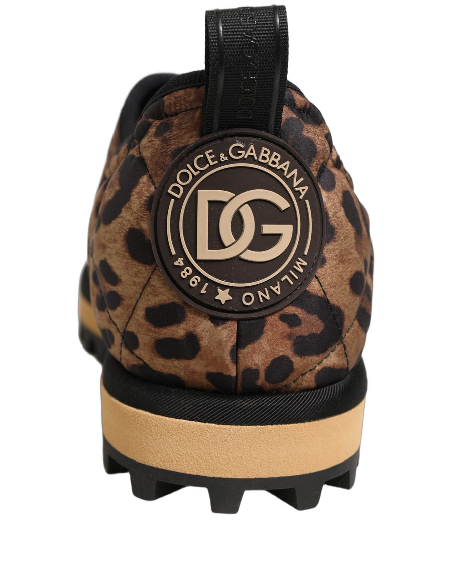Dolce & Gabbana 2% Elastane sneaker in brown