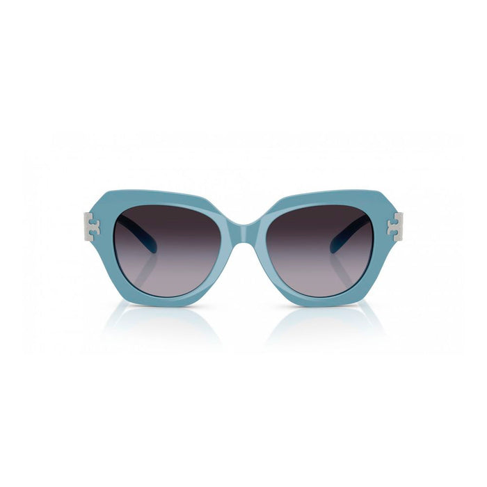 Blue Acetate Sunglasses