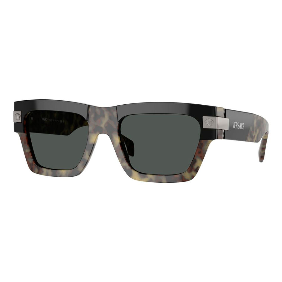 Versace VEVE4464545687AC Acetate sunglasses in gray
