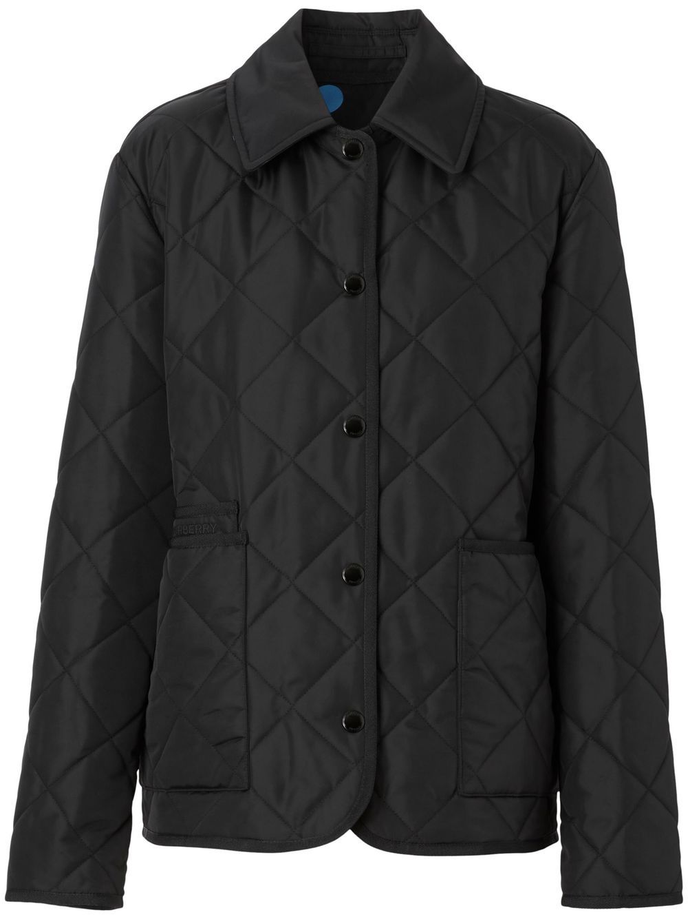Burberry Jackets Black