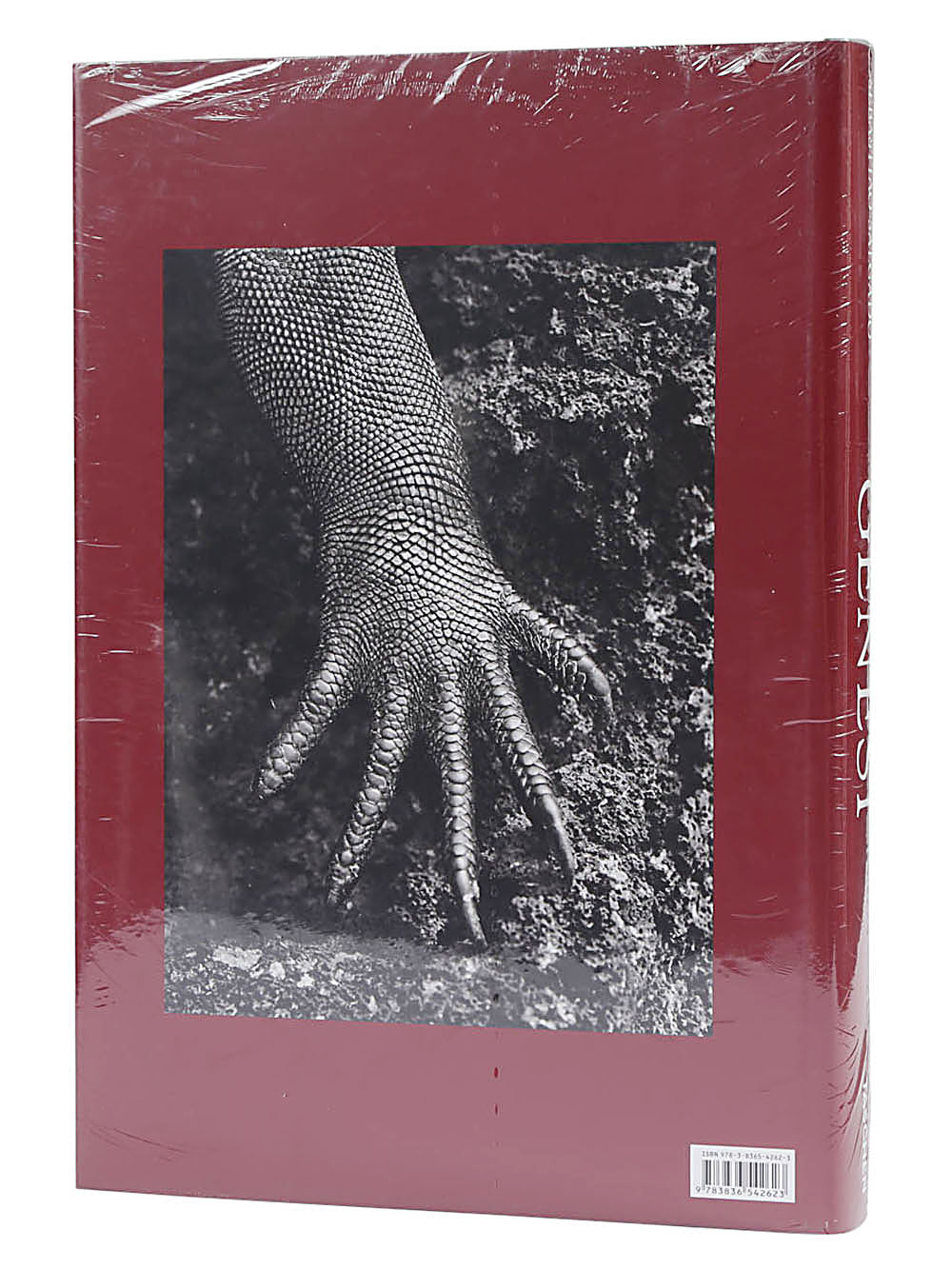 TASCHEN Living Red Main Material: Paper