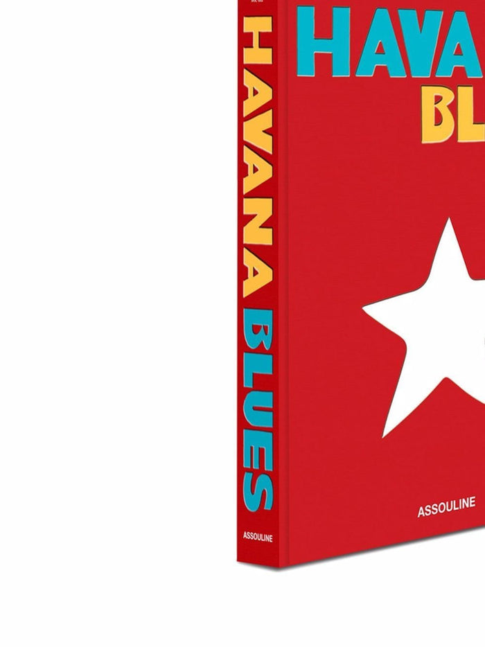 ASSOULINE Living Paper