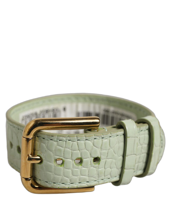 Dolce & Gabbana 100% Calf Leather belt in green