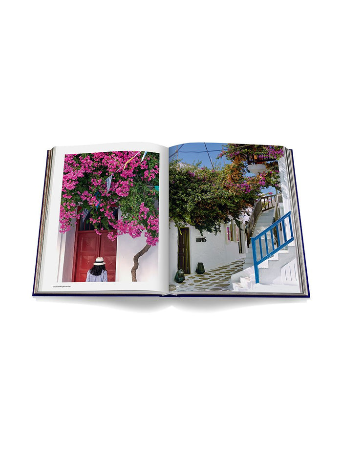 ASSOULINE Living Paper