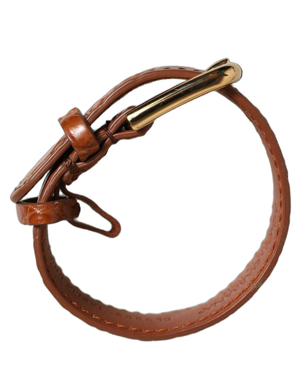 Dolce & Gabbana 100% Caiman Leather belt in brown