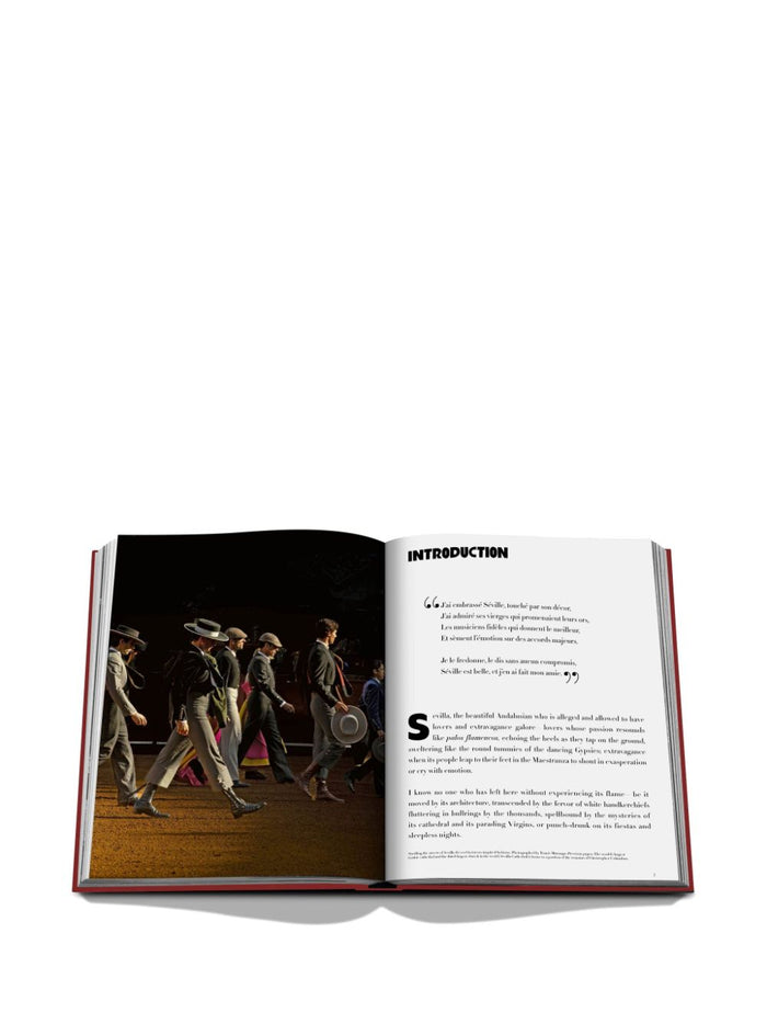 ASSOULINE Living Paper
