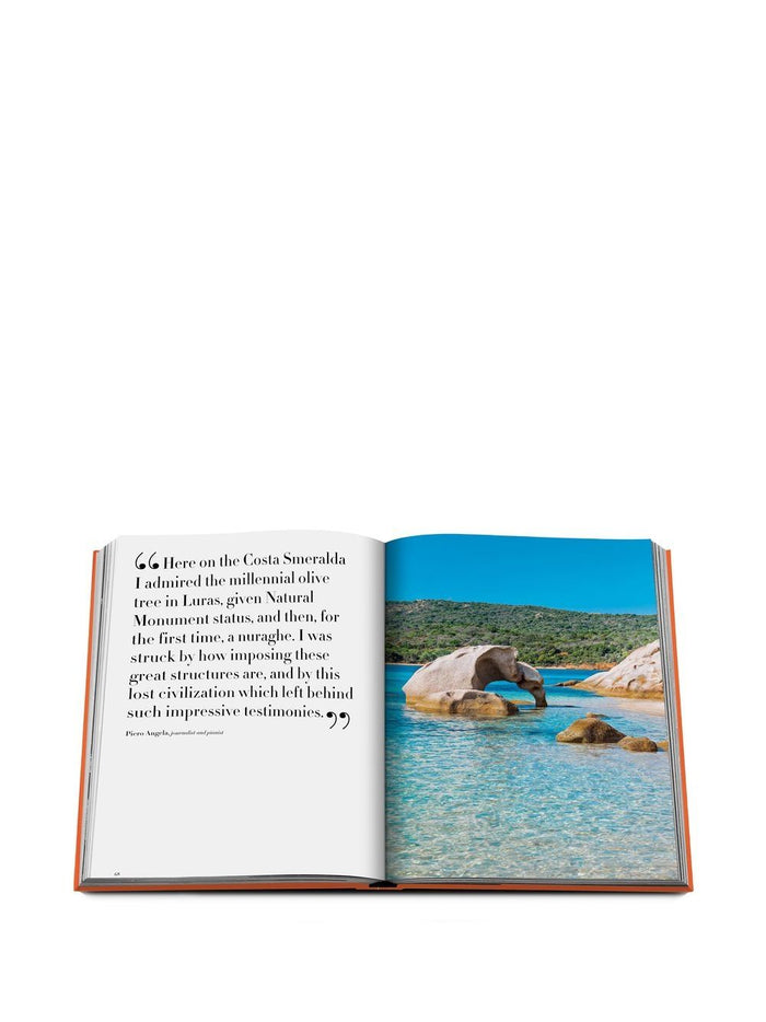 ASSOULINE Living Paper