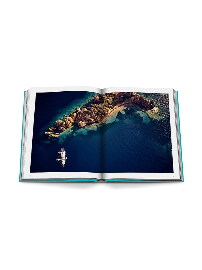 ASSOULINE Living Paper