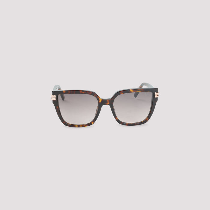 Sunglasses Brown Acetate Glasses