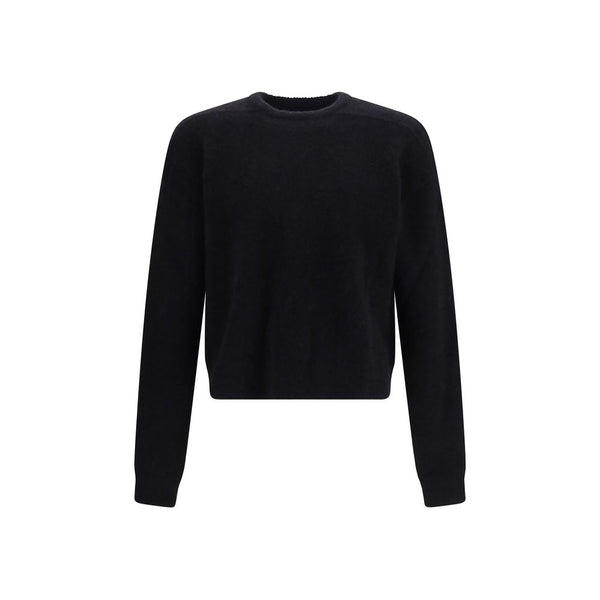 Black Alpaca Vicugna Pacos Sweatshirt Clothing