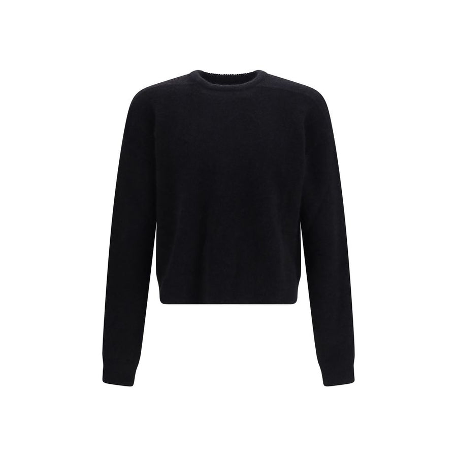 Black Alpaca Vicugna Pacos Sweatshirt Clothing