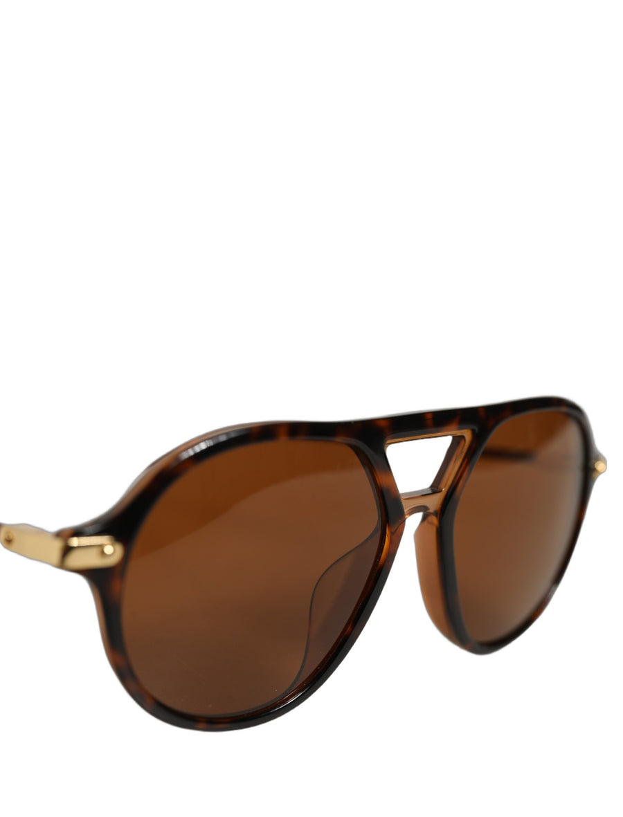 Brown Dg4343f Havana Tortoise Women Eyewear Sunglasses Acetate
