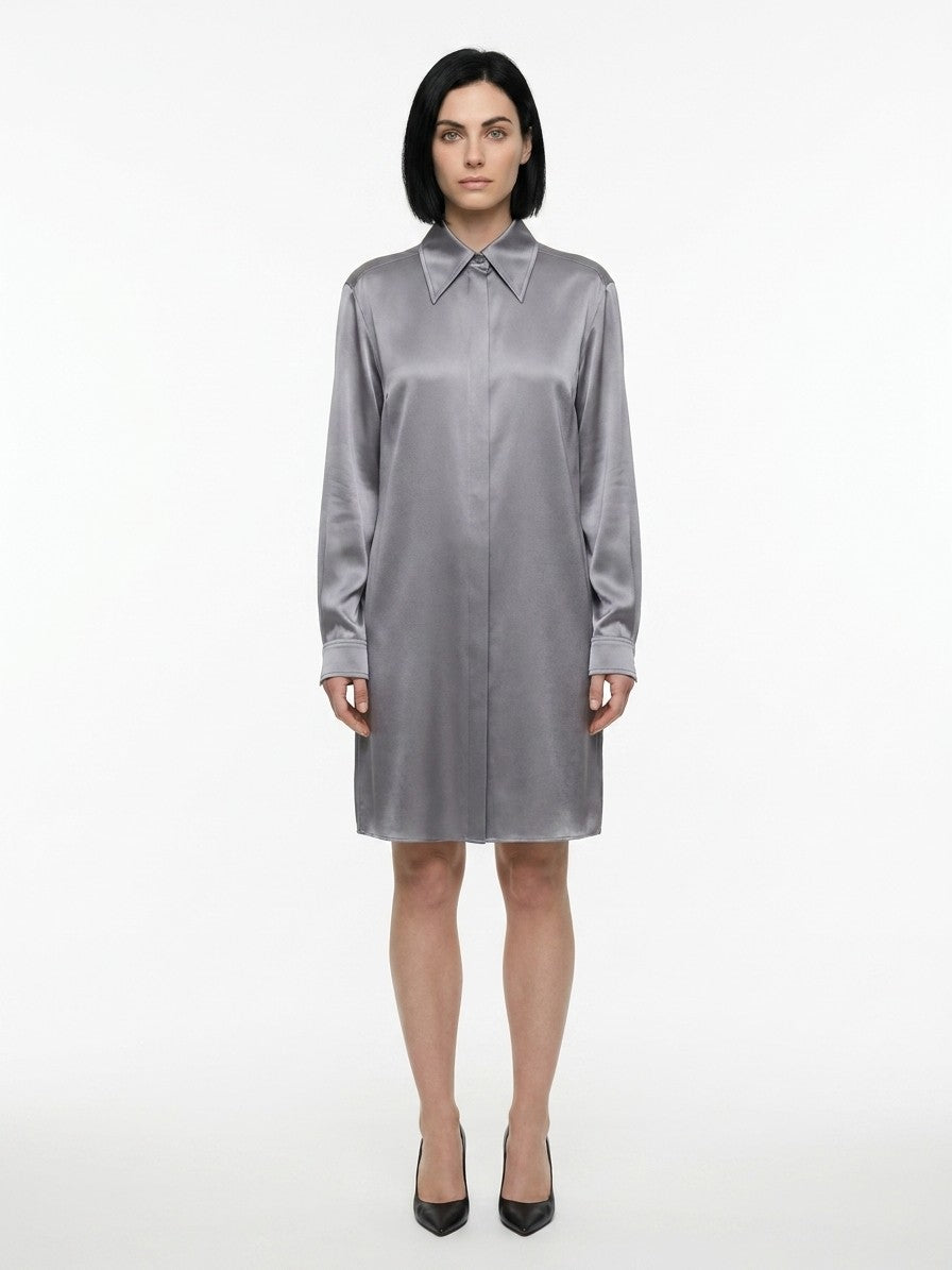Gray Silk Casual Dress