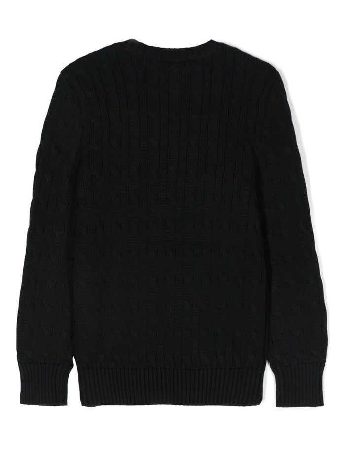 Ralph Lauren Sweaters Black