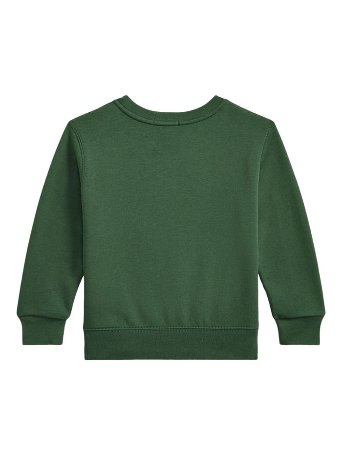 Ralph Lauren Sweaters Green