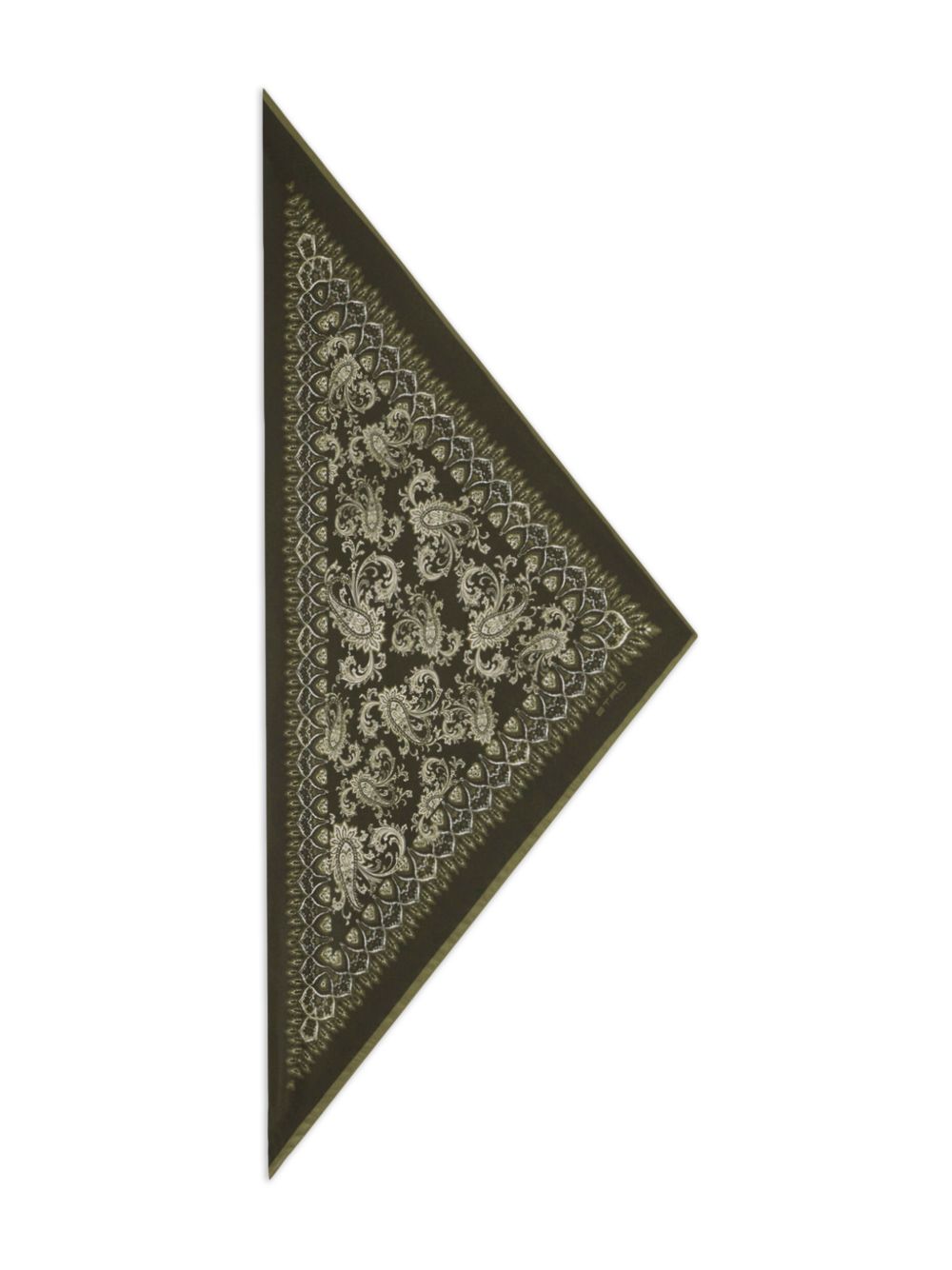 Etro Accessories Olive Green