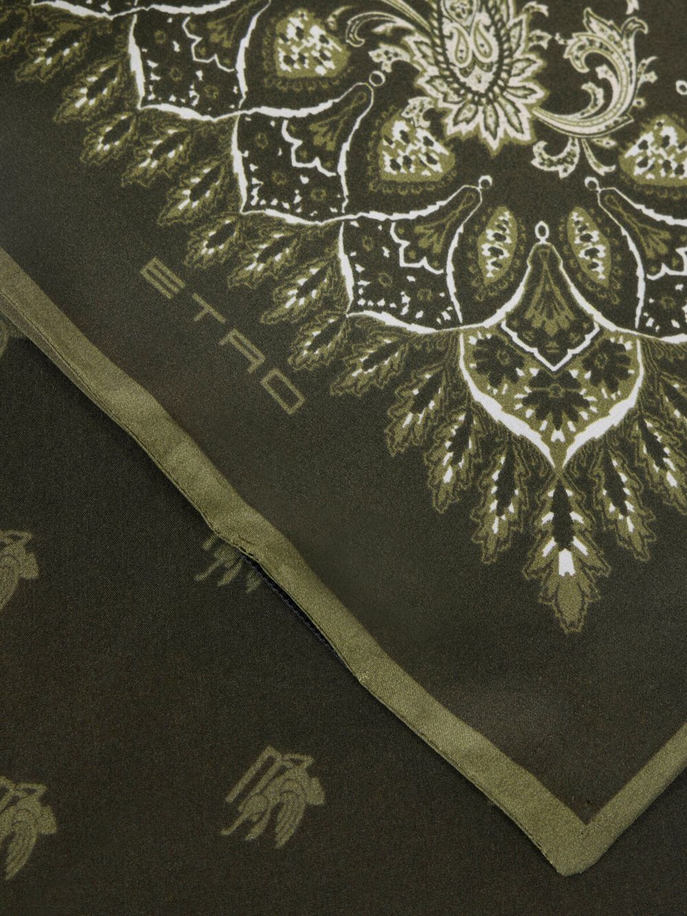 Etro Accessories Olive Green