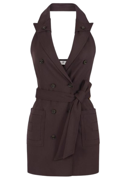 Elisabetta Franchi Dresses Brown Viea