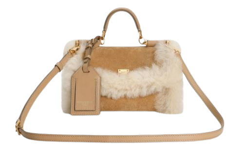 Dolce & Gabbana Bags Camel