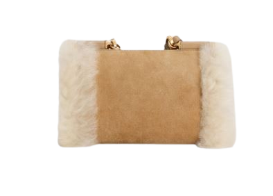 Dolce & Gabbana Bags Camel