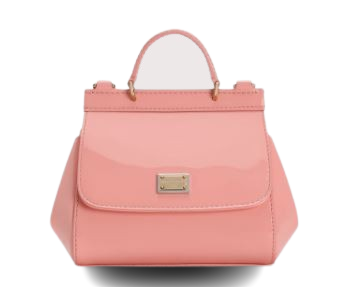 Dolce & Gabbana Bags Flamingo Lea