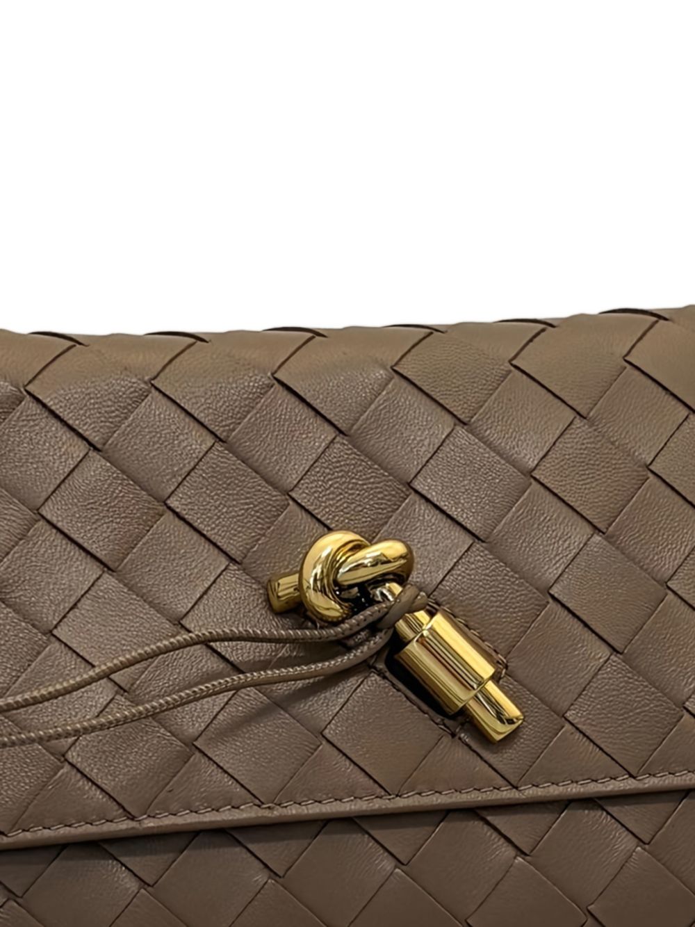 Bottega Veneta Bags Pinecone Leather