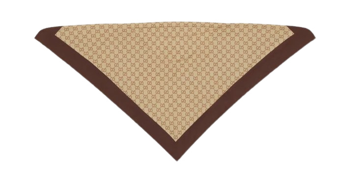 Gucci Scarfs Shell/light Brown