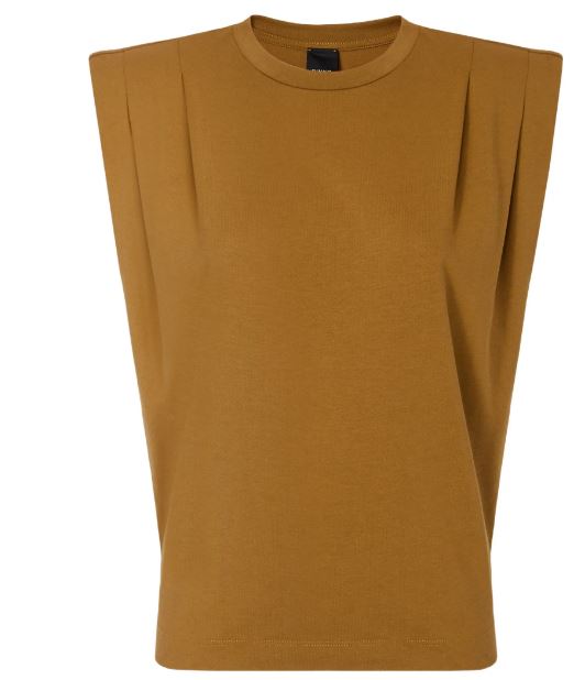 Pinko Sweaters Brown