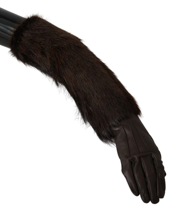 Dolce & Gabbana Leather gloves in brown