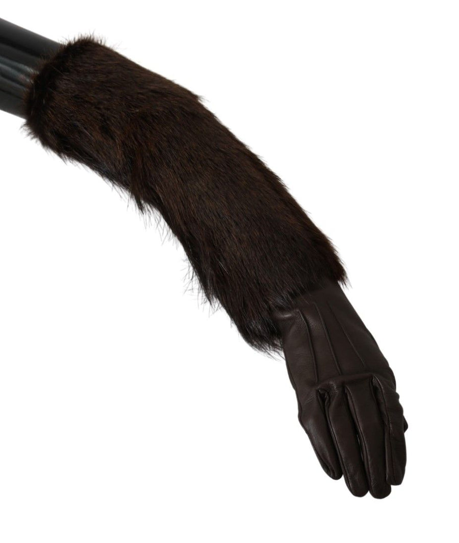 Dolce & Gabbana Leather gloves in brown