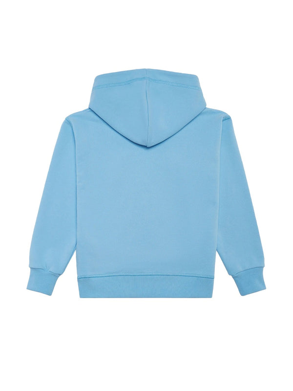 Sweatshirt Baby Blue Cotton Sweatshirts