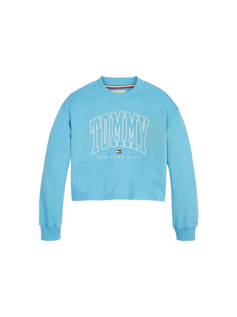 Jumper Varsity Logo Blue Organic Cotton Jumpers