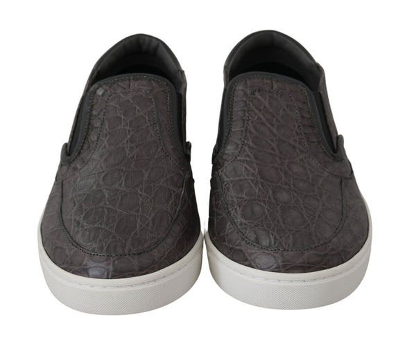 Dolce & Gabbana 80% Caiman loafer in gray