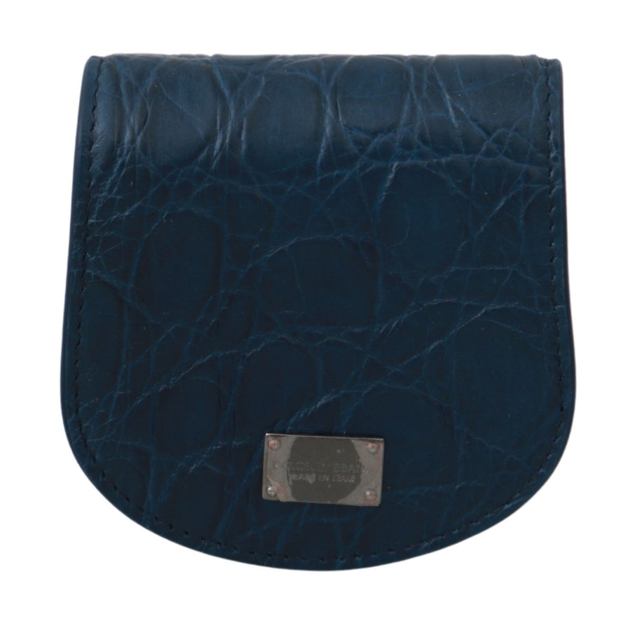 Dolce & Gabbana 100% Caimano card case in blue