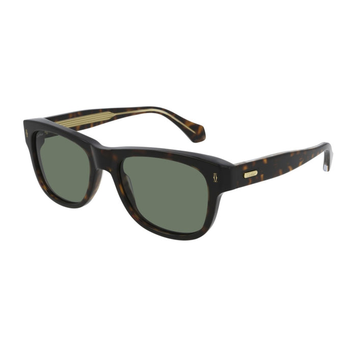 10YA48C0A - Clothing accessories Cartier Marrone Celluloid Occhiali Sole