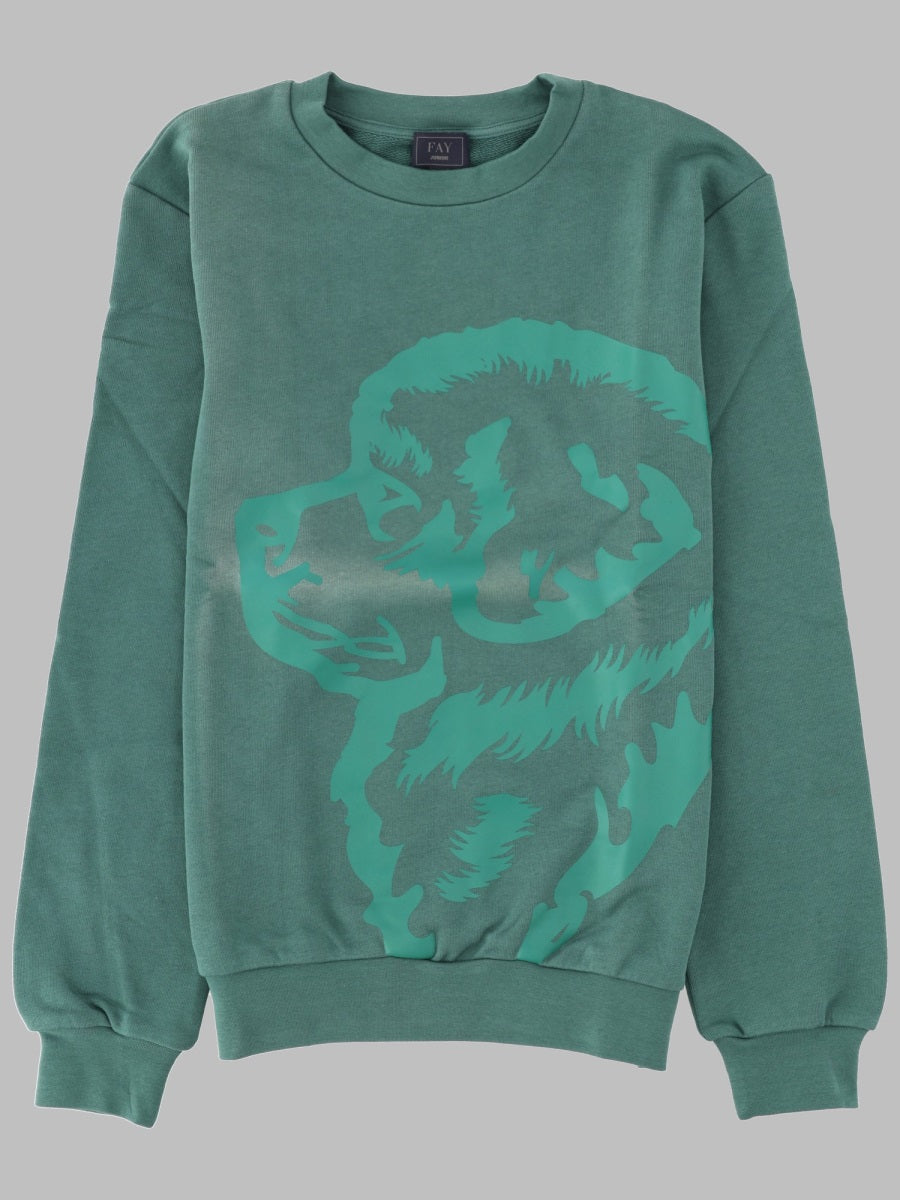 Sweatshirt Green Cotton Sweatshirts