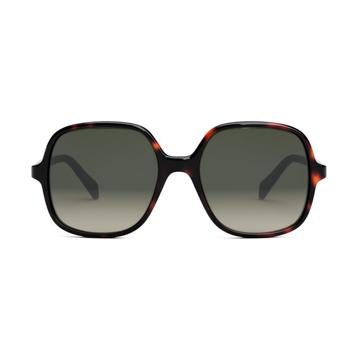 CL40244U 52f Marrone Celluloid Occhiali Sole