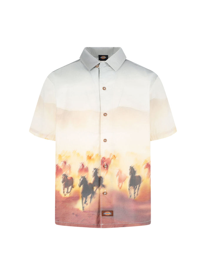 DICKIES Shirts White Cotton