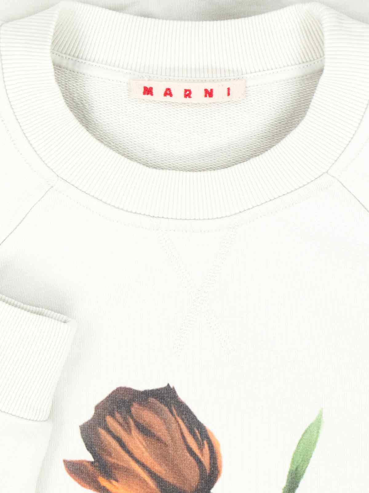 Marni Sweaters White Cotton