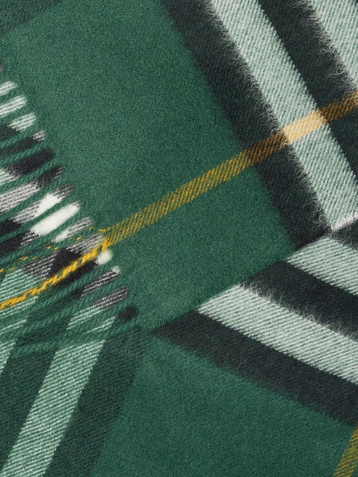 Burberry Scarfs Green Cashmere