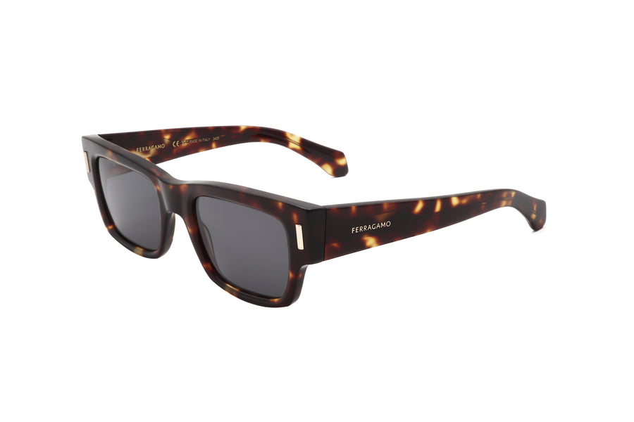 Preloved - Ferragamo Mens 53mm Dark Tortoise Sunglasses Sf2011s-242-53 One Color