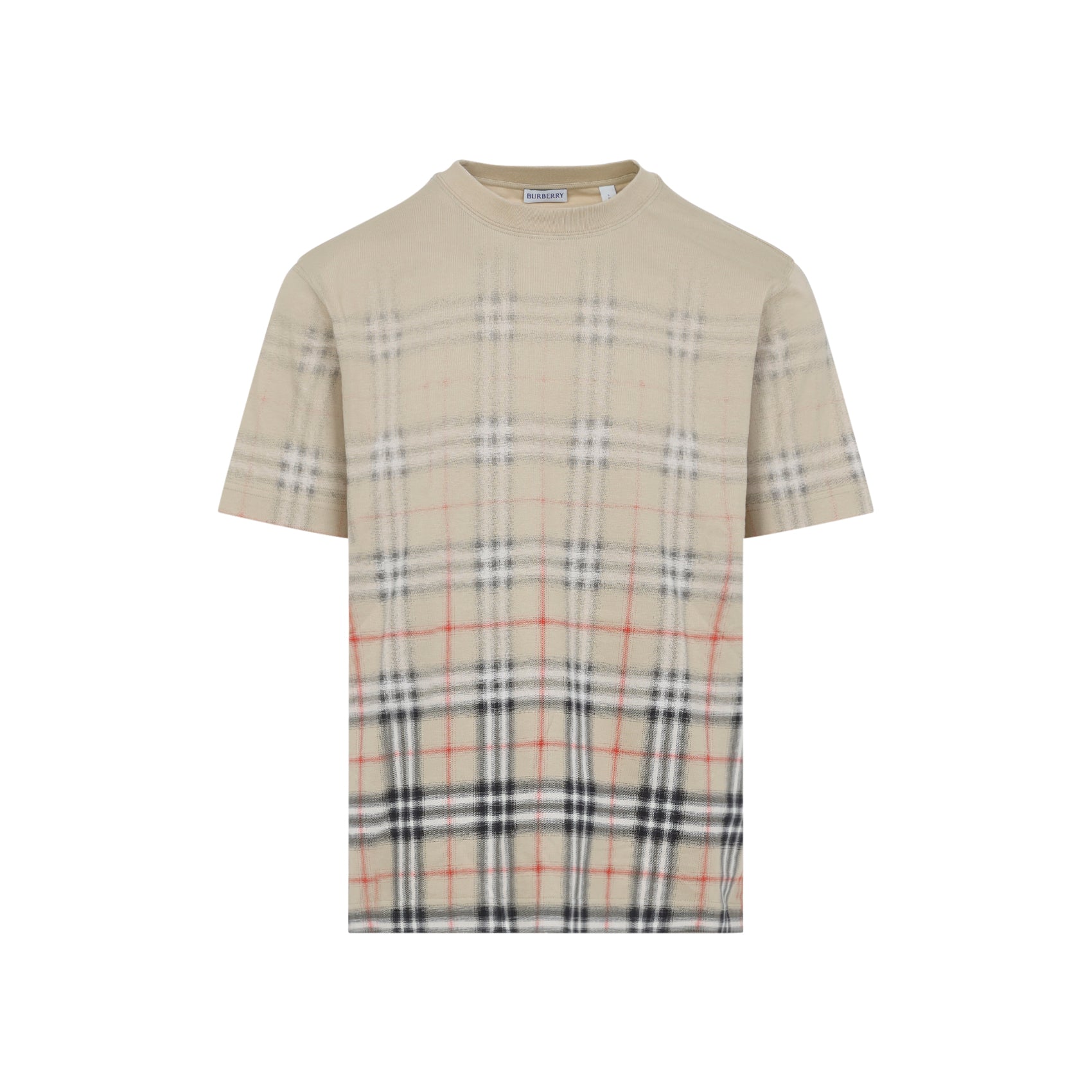 Ryan Degrade T-shirt Nude & Neutrals Cotton Elastane Tshirt