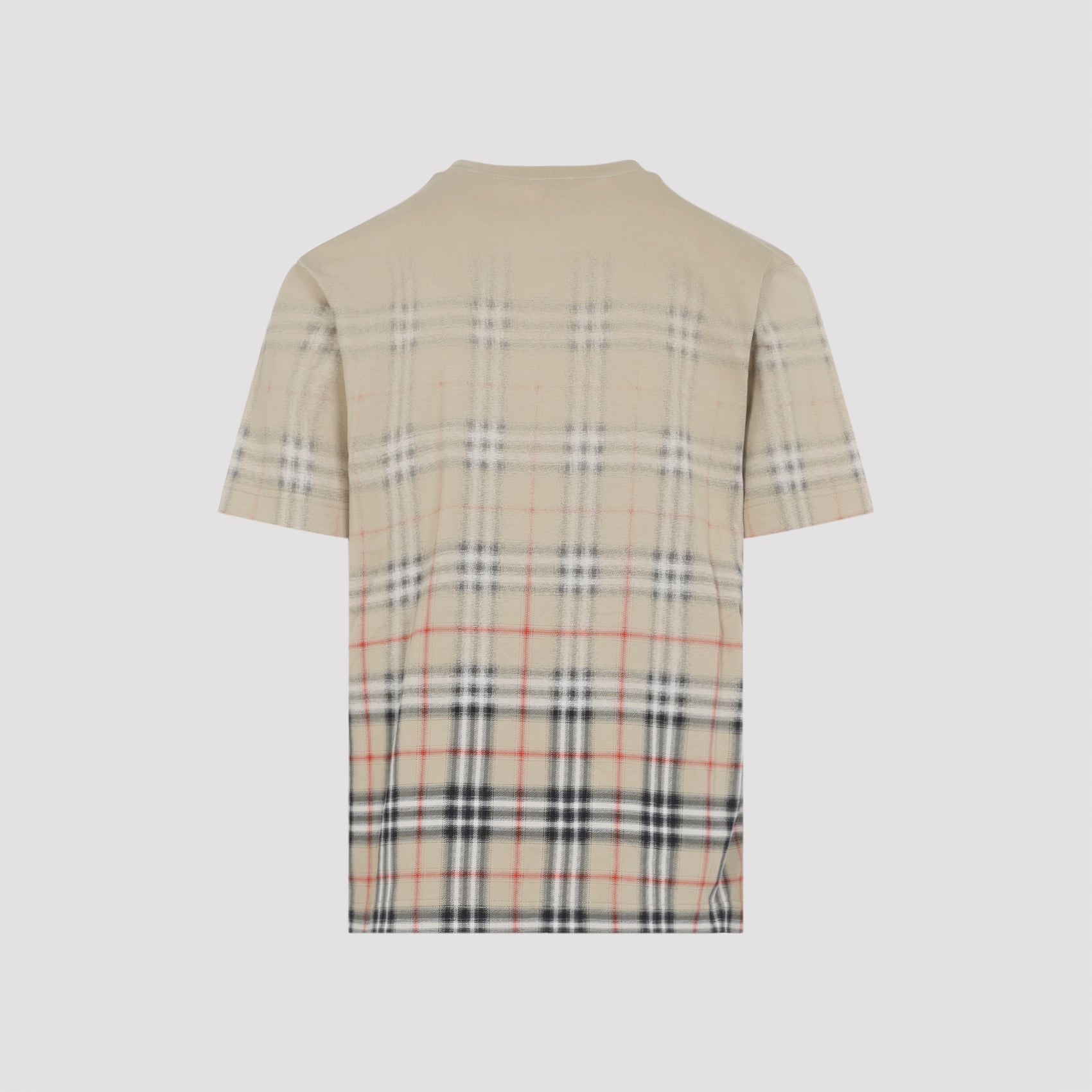 Ryan Degrade T-shirt Nude & Neutrals Cotton Elastane Tshirt