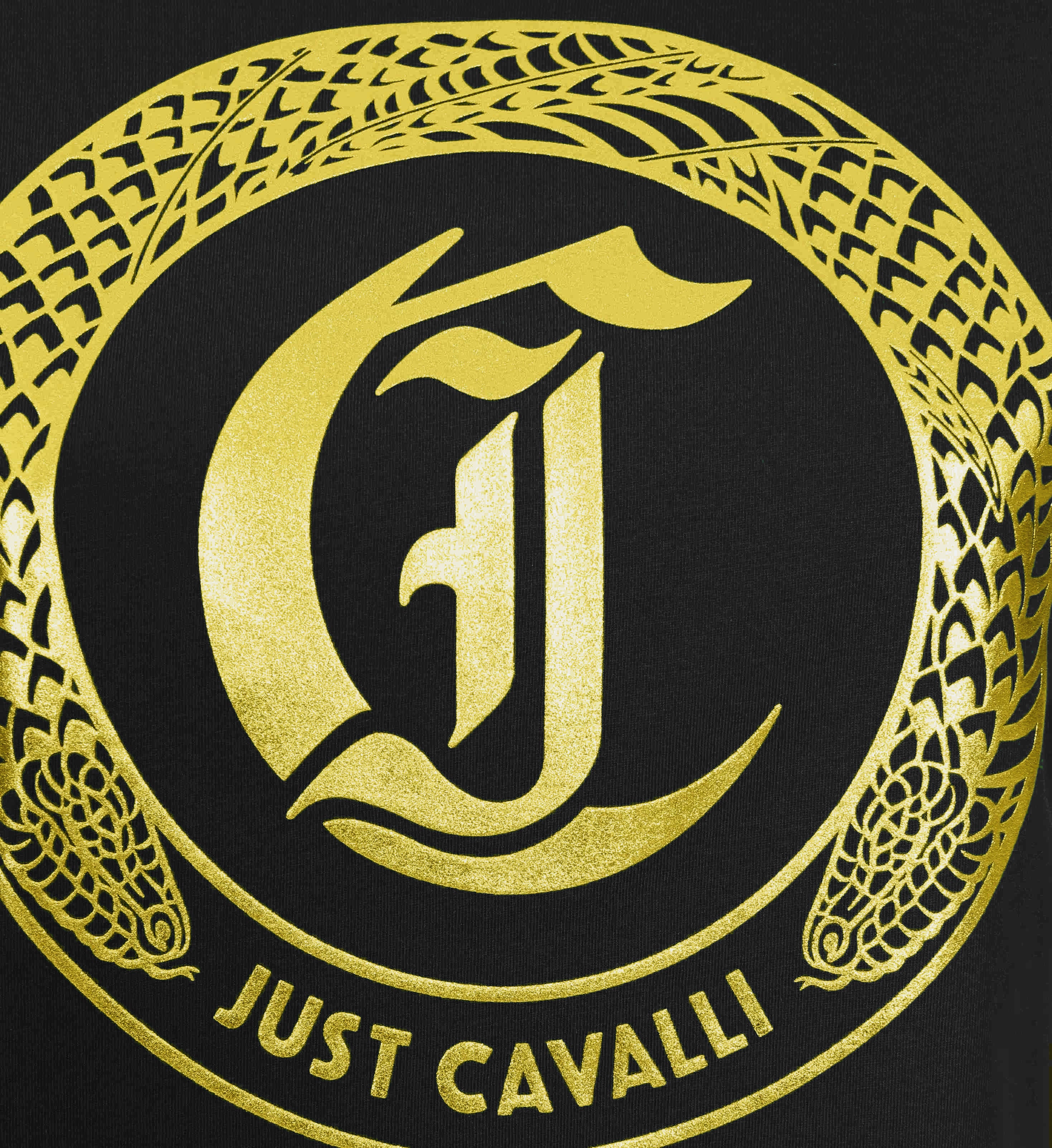 Just Cavalli T-shirts and Polos Black