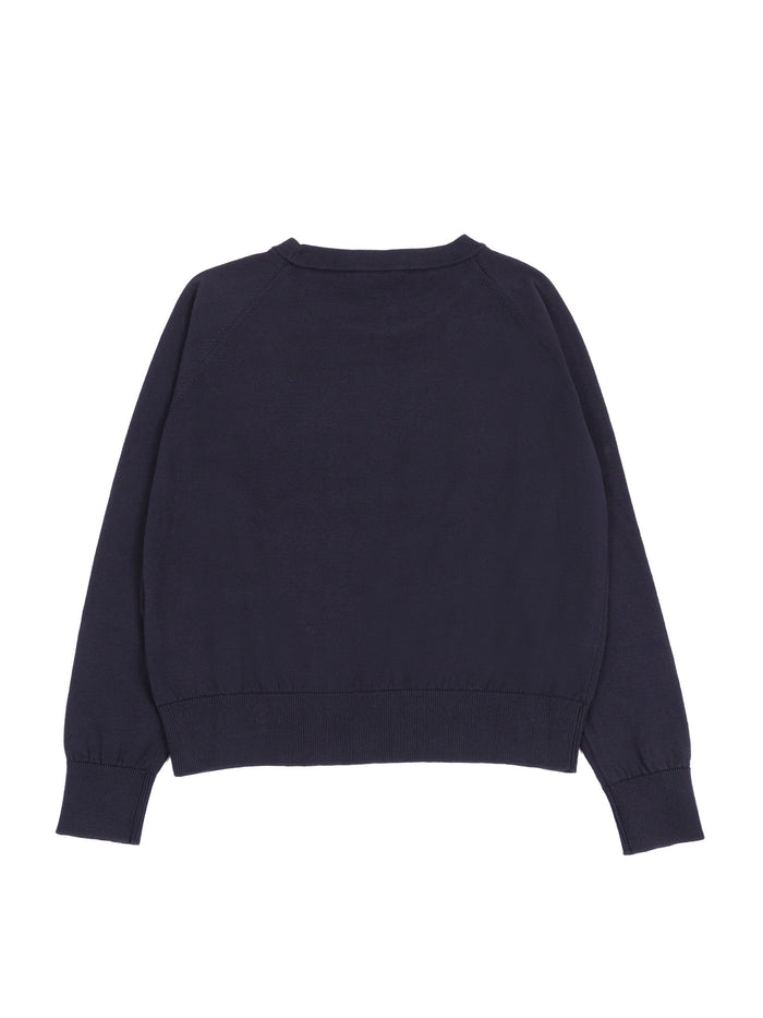 Knitwear Blue Cotton Crewneck