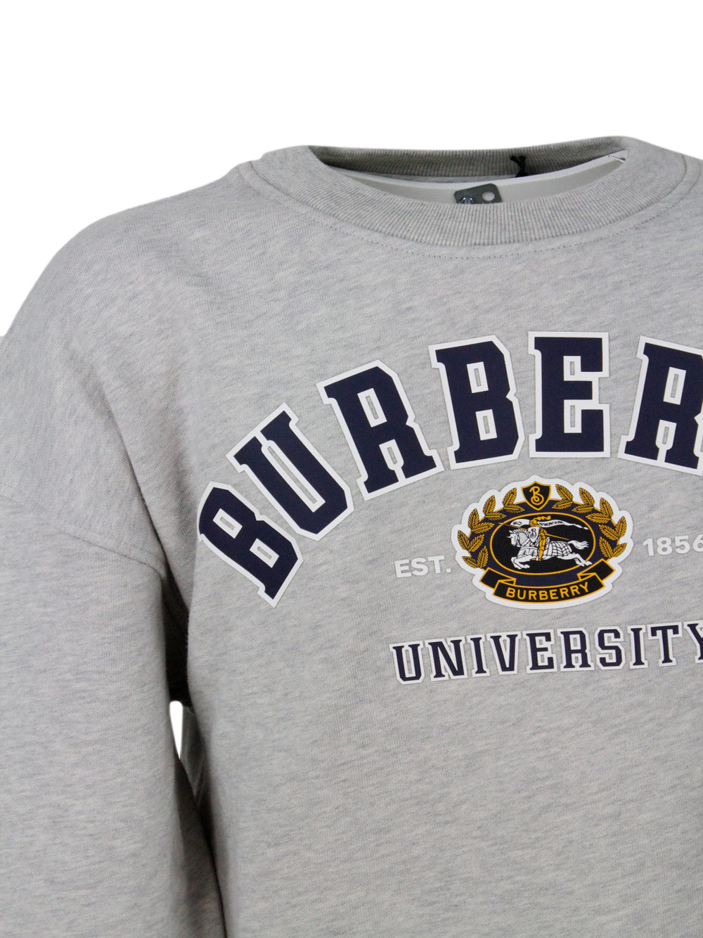 Burberry Sweaters Grey 100co