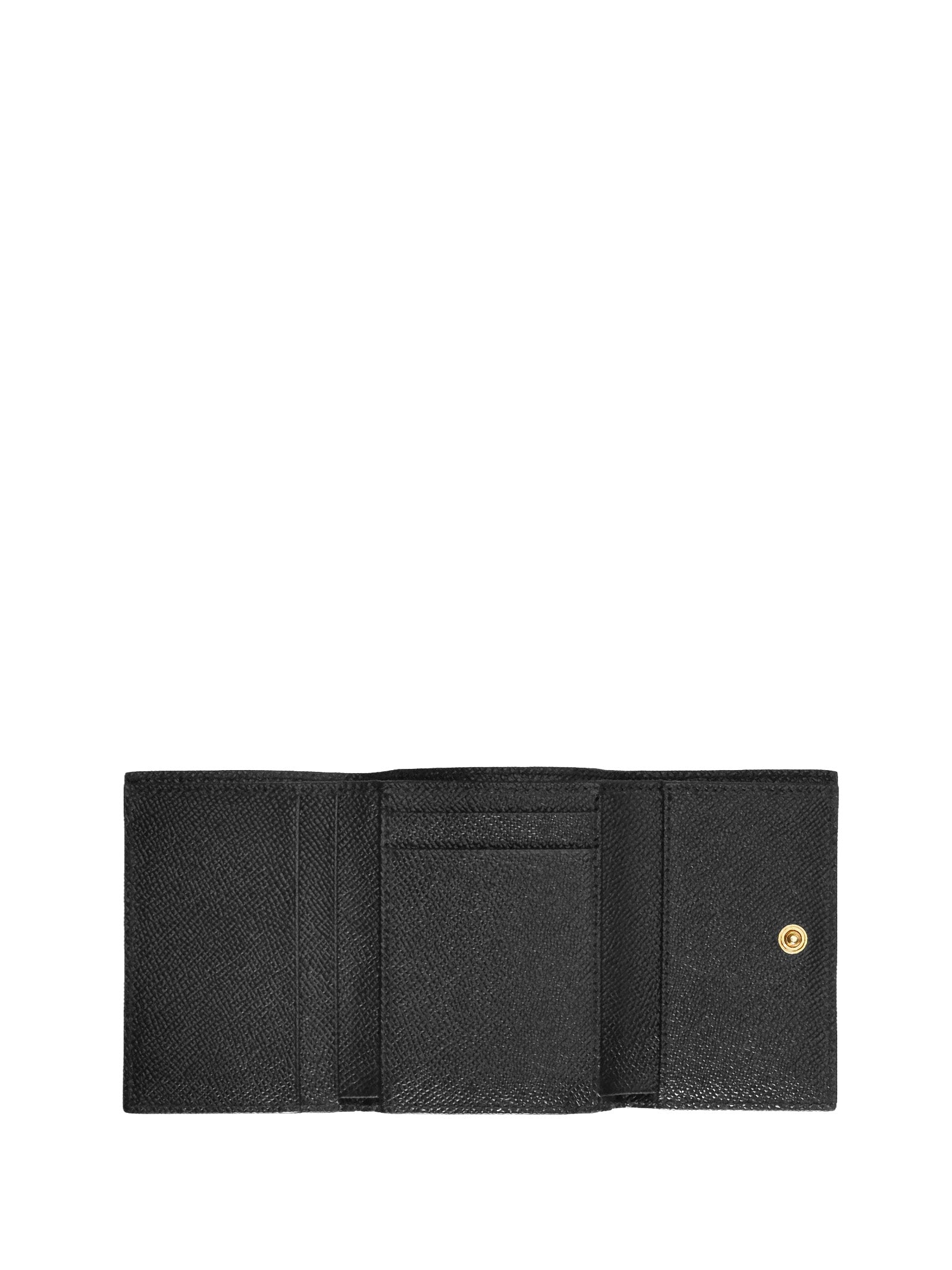 Dolce & Gabbana Wallets Stampa Leo New Leather