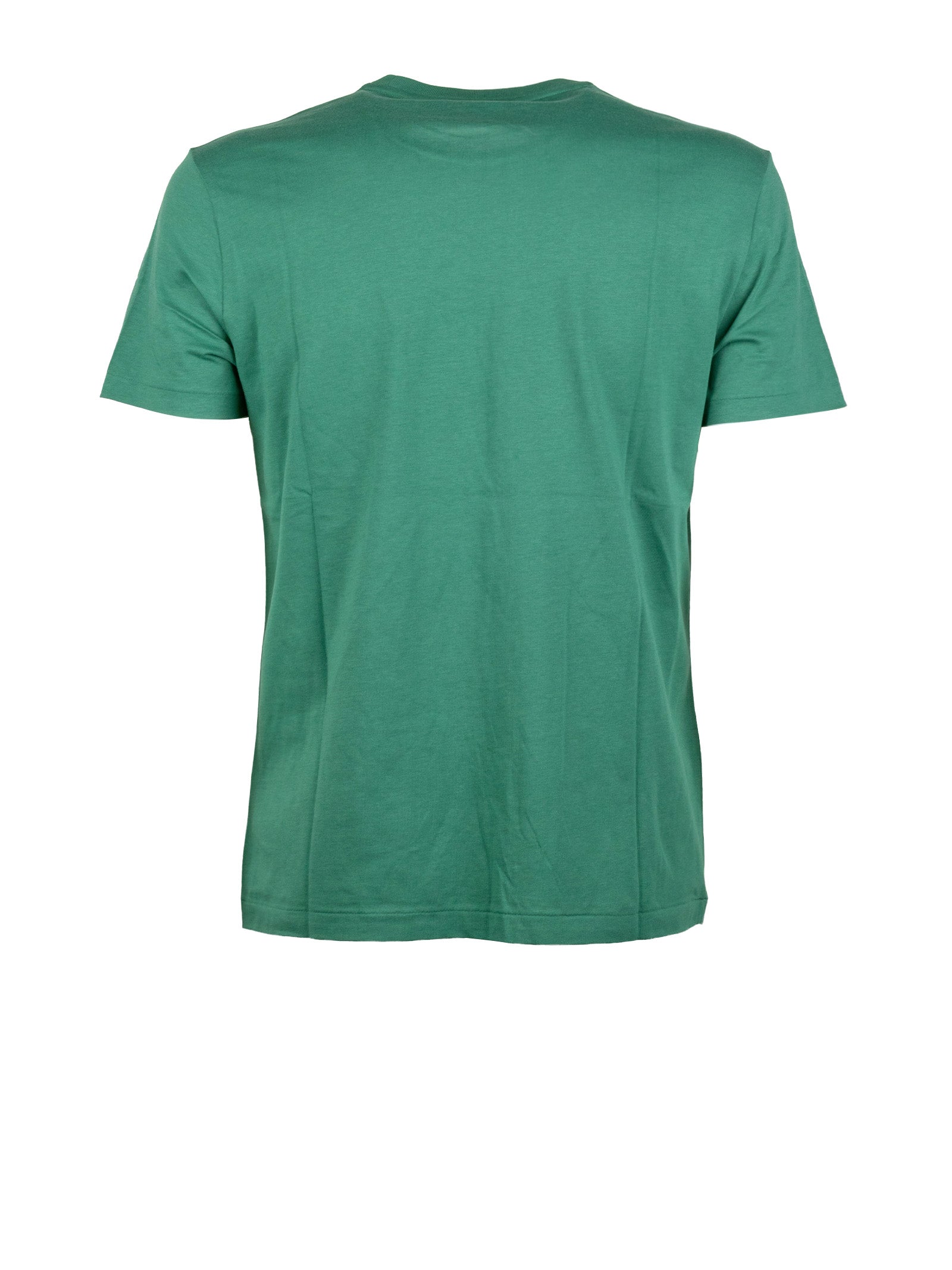Polo Ralph Lauren T-Shirts And Polos Antique Green/ Cream