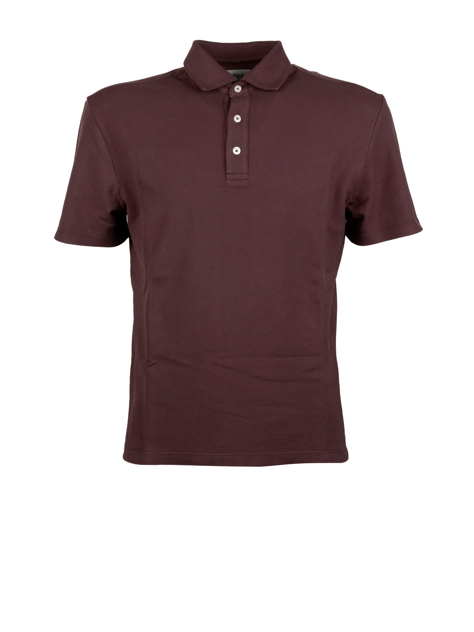 Altea T-shirts and Polos Brown